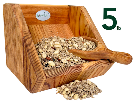 JCs Wildlife product photography shows a wooden bird feeder filled with a 5lb mix of sunflower seeds peanuts and raisins a rustic wooden scoop rests beside the feeder showcasing the rich wood grain and the colorful birdseed mix