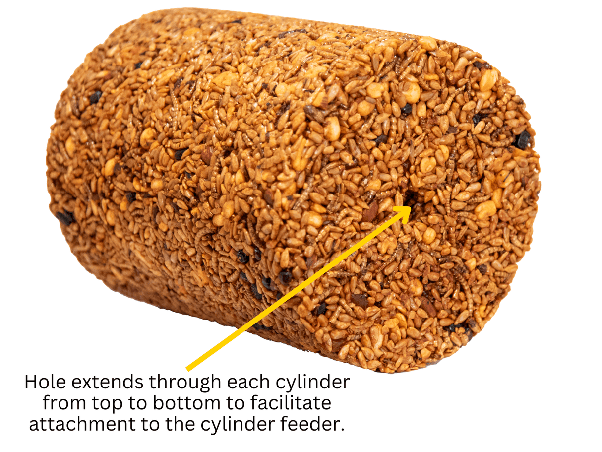 JCS Wildlife Squirrel Stopper Bugs Nuts & Berries Large Cylinder showing attachment hole for feeder.