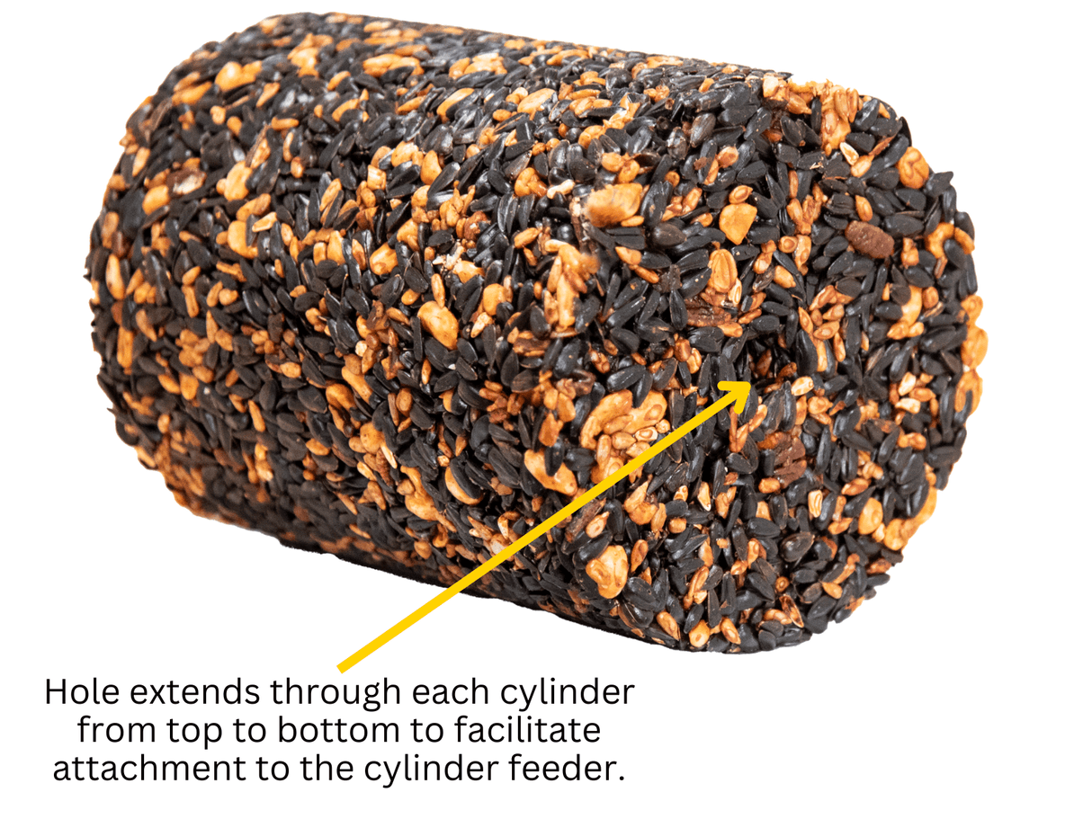 JCS Wildlife Squirrel Stopper Wild Bird Feast Large Cylinder showing attachment hole for feeders.