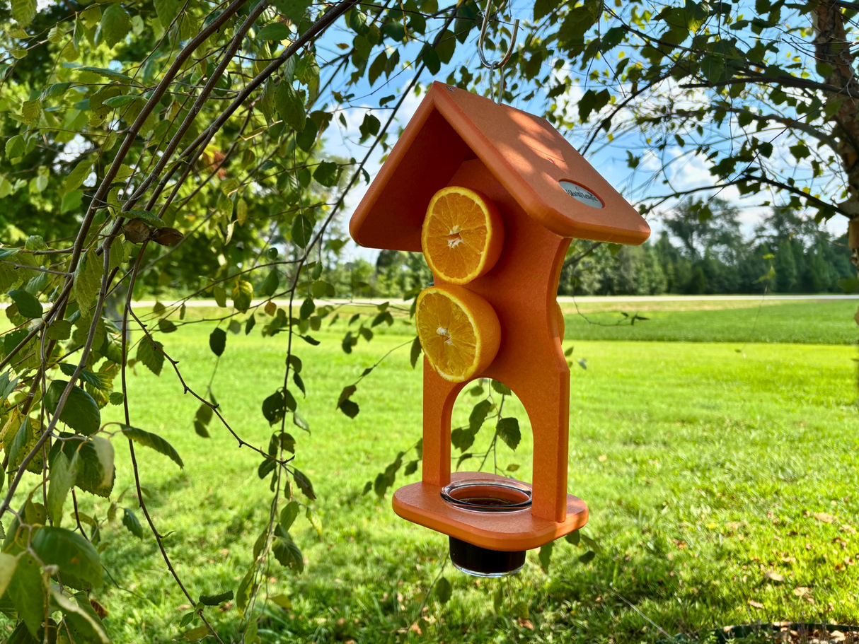 Photograph of an orange handcrafted bird feeder with orange slices and a small cup of nectar hanging from a tree in a rural setting with a green field and trees in the background