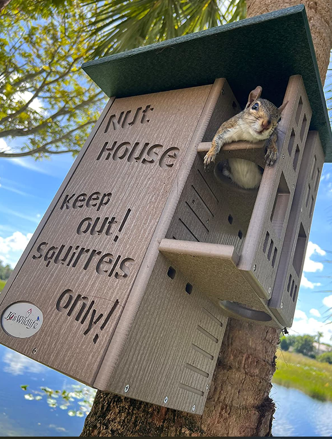 Jo's Wildlife gray squirrel in a brown Nut House feeder attached to a tree near a lake with a green roof and keep out squirrels only carved into the wood