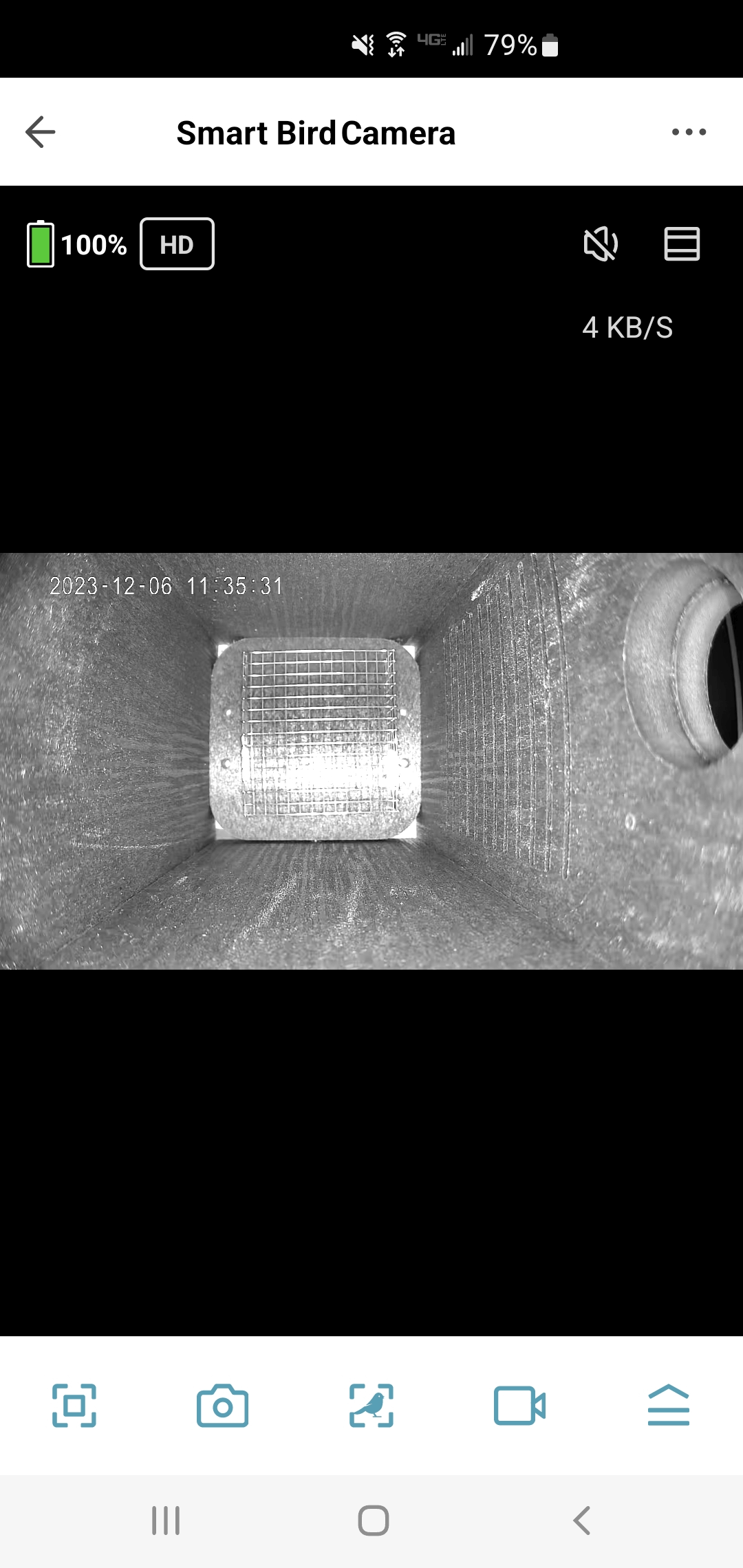 Smart Bird Camera grayscale video showing the interior of a birdhouse with a wire mesh floor, dark wood walls, and a circular opening at the top