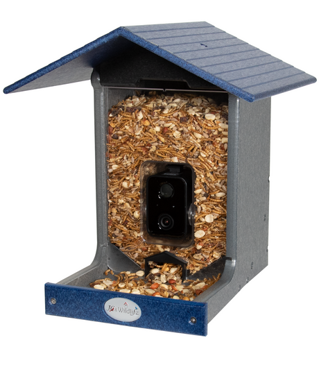 JCS Wildlife E-Z Fill Smart Bird Feeder with WiFi camera and solar panel, designed for bird watching convenience.