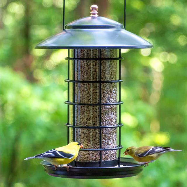 Woodlink Modern Farmhouse Metal & Glass Tube Seed Feeder in Matte Black with birds feeding on seeds.