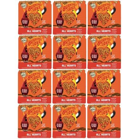 Mr. Bird Burning Love Small Cake packaging featuring vibrant design, perfect for fire-loving birds without attracting squirrels.