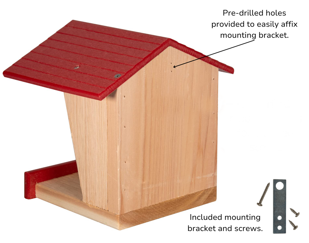 Close-up of JCS Wildlife Modern Style Cedar Robin Roost showing pre-drilled holes and included mounting bracket for easy installation.