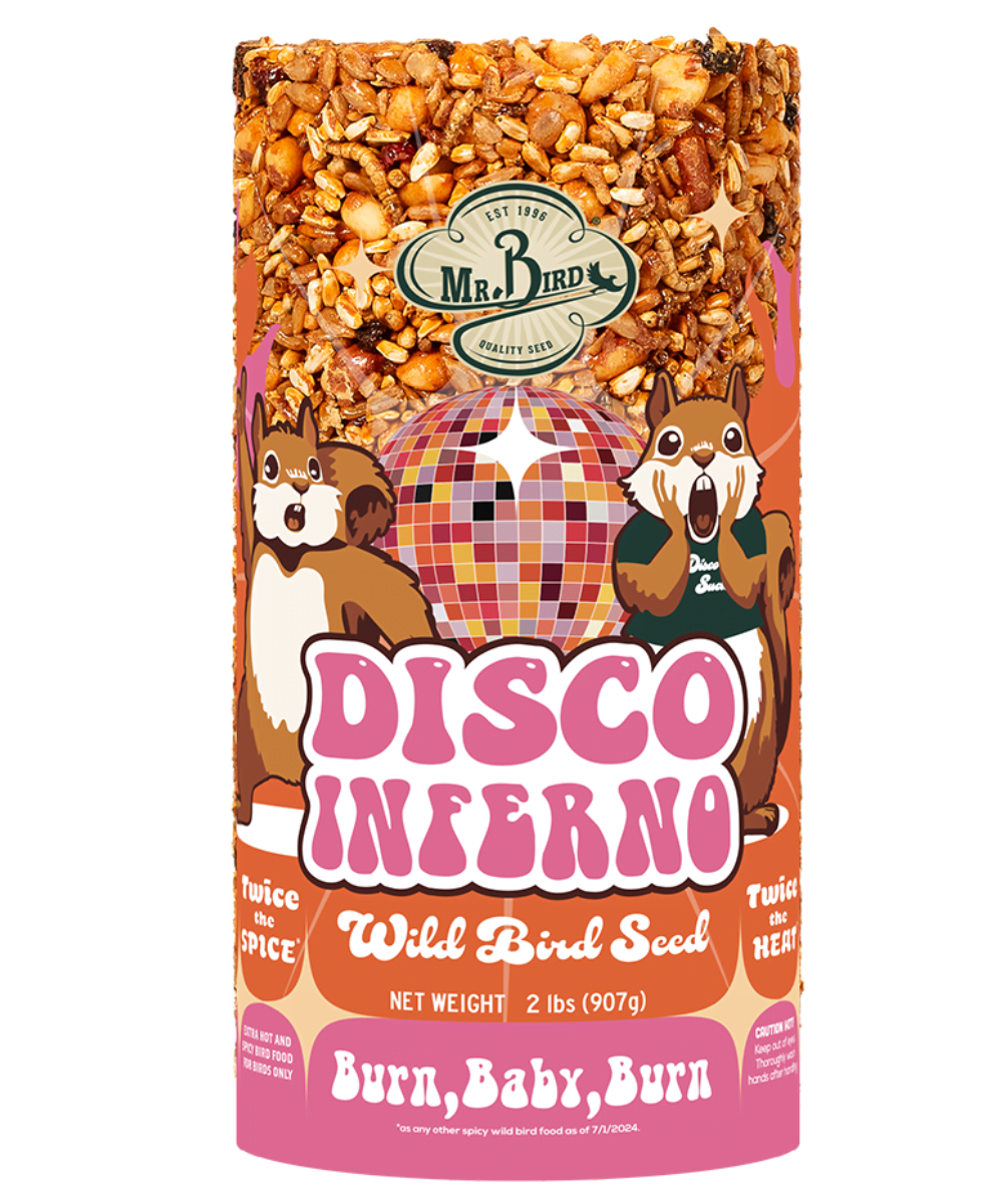 Mr Bird's graphic design for Disco Inferno wild bird seed features two surprised squirrels flanking a disco ball against a vibrant pink and orange background with text that reads Burn Baby Burn
