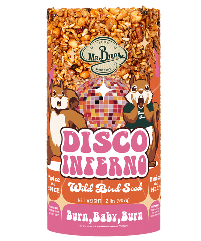 Mr Bird's graphic design for Disco Inferno wild bird seed features two surprised squirrels flanking a disco ball against a vibrant pink and orange background with text that reads Burn Baby Burn