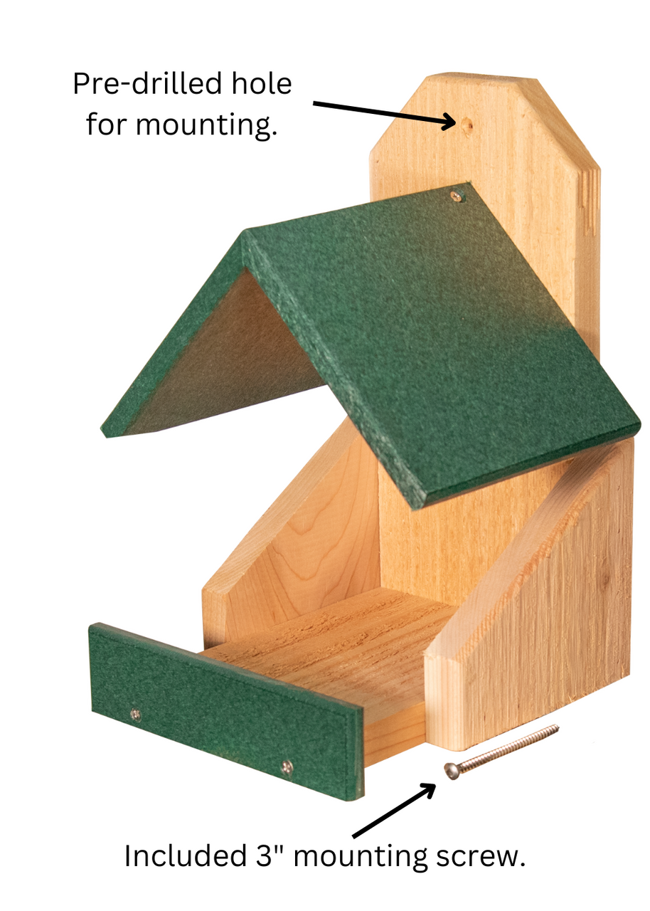 Product shot of a wooden bird feeder with a green recycled plastic roof and tray showing a pre-drilled mounting hole and included screw