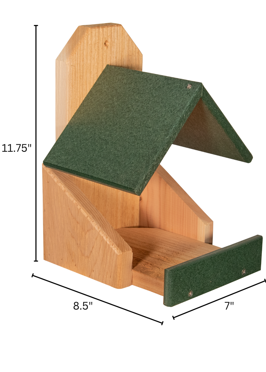 Wooden bird feeder with green recycled plastic roof and perch  showing natural wood grain and metal fasteners