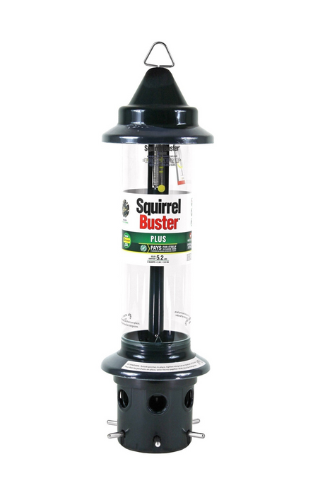 Brome Squirrel Buster Plus Bird Feeder w/ Cardinal Perch Ring 1024