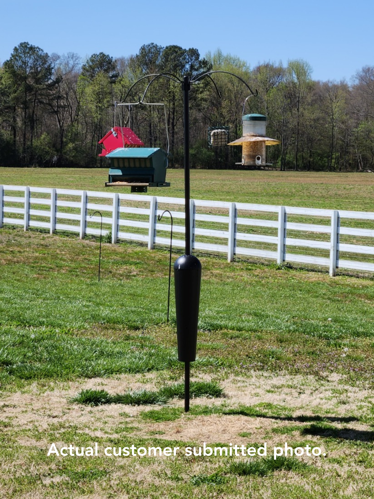 Customer-submitted photo showing various bird feeders in a grassy field beyond a white fence including a red and a green feeder a tall cylindrical feeder and a light brown feeder with iconic details like curved metal arms vibrant colors and a rustic design