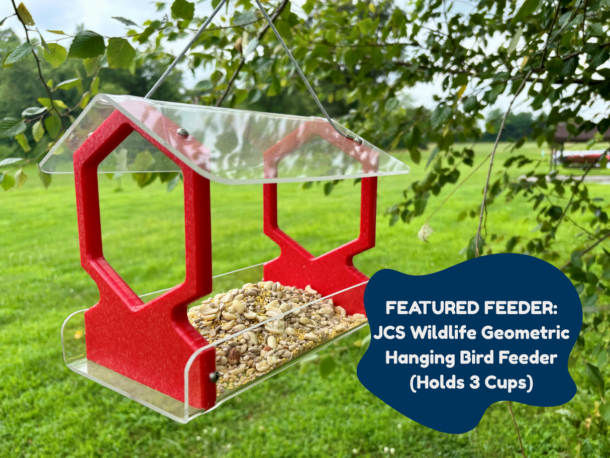 JCS Wildlife Geometric Hanging Bird Feeder a 3D-printed red and clear acrylic bird feeder outdoors filled with birdseed showing a clear roof and hexagonal details hanging from a tree in a green park-like setting