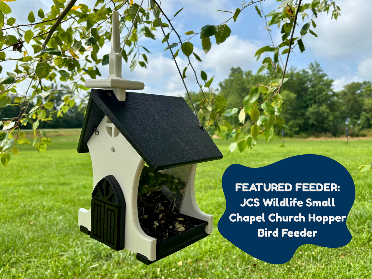 JCS Wildlife Small Chapel Church Hopper bird feeder hanging from a tree branch in a grassy field with a black roof white walls and a detailed dark-colored door