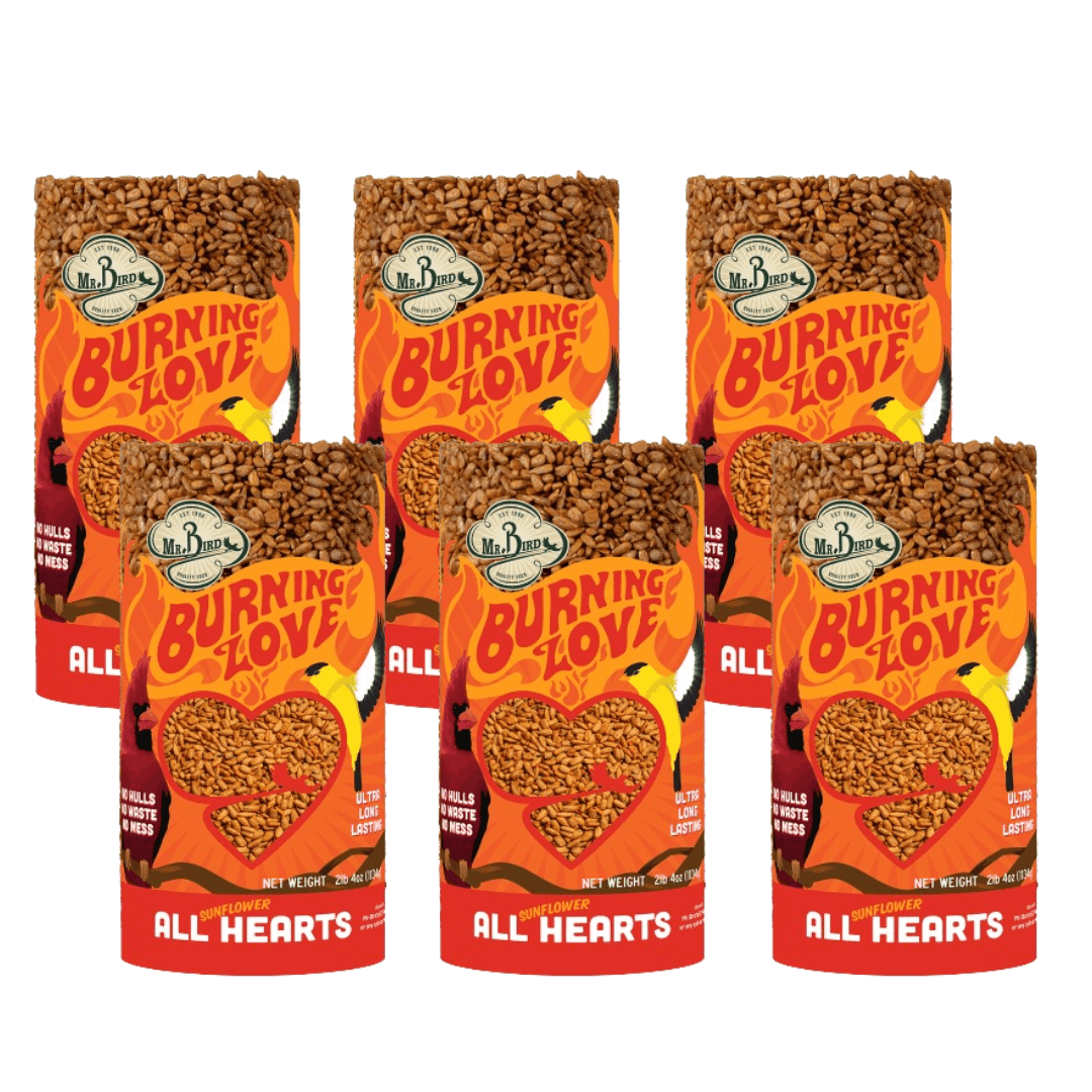 Mr. Bird Burning Love Cylinder Small - spicy hot snack for birds with whole sunflower hearts.