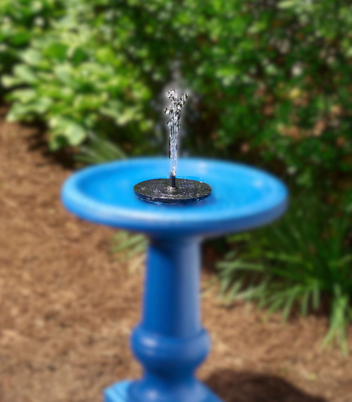 Photograph of a small solar powered birdbath fountain with a blue birdbath and a small dark gray solar panel in a garden setting featuring lush green foliage and brown mulch.