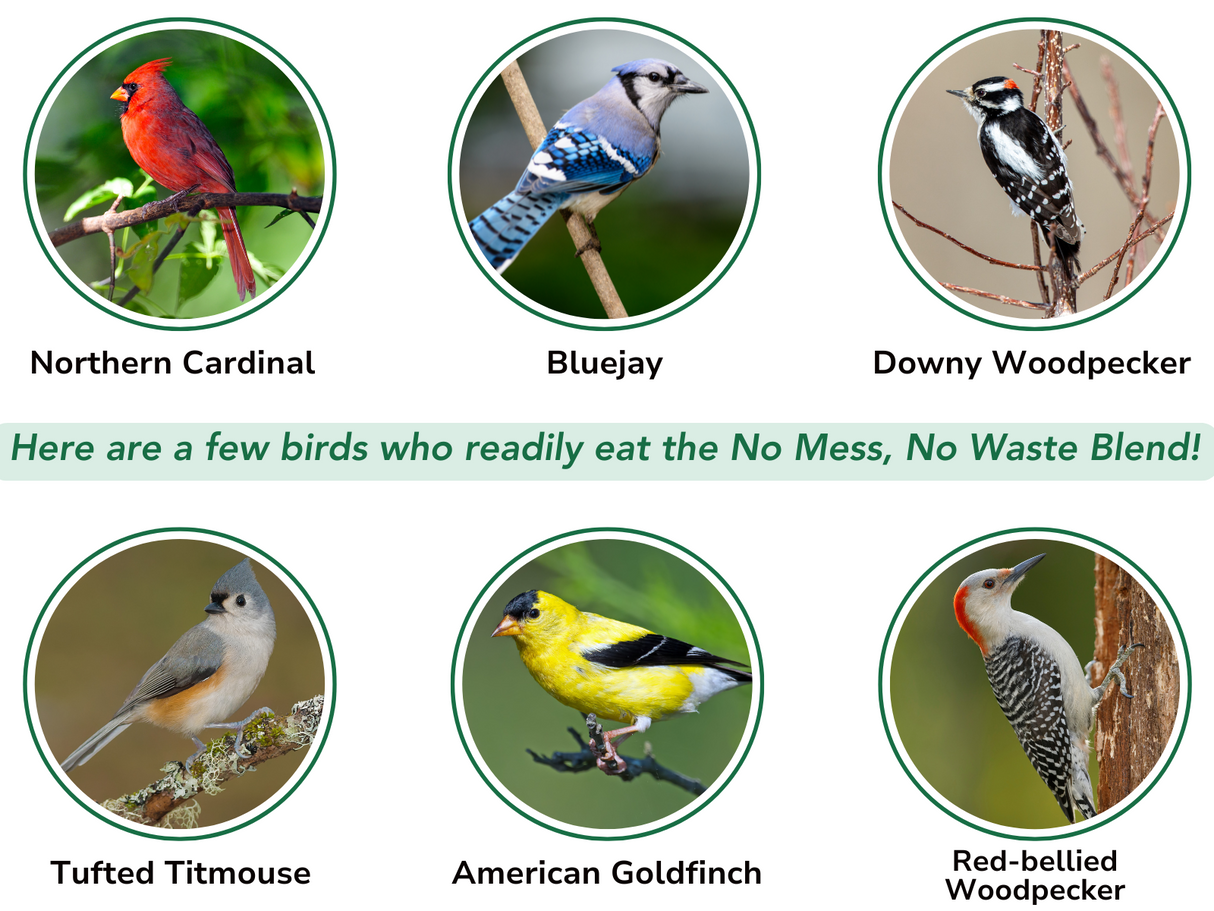 What birds use JCS Wildlife Squirrel Stopper No Mess, No Waste 10lbs Loose Seed