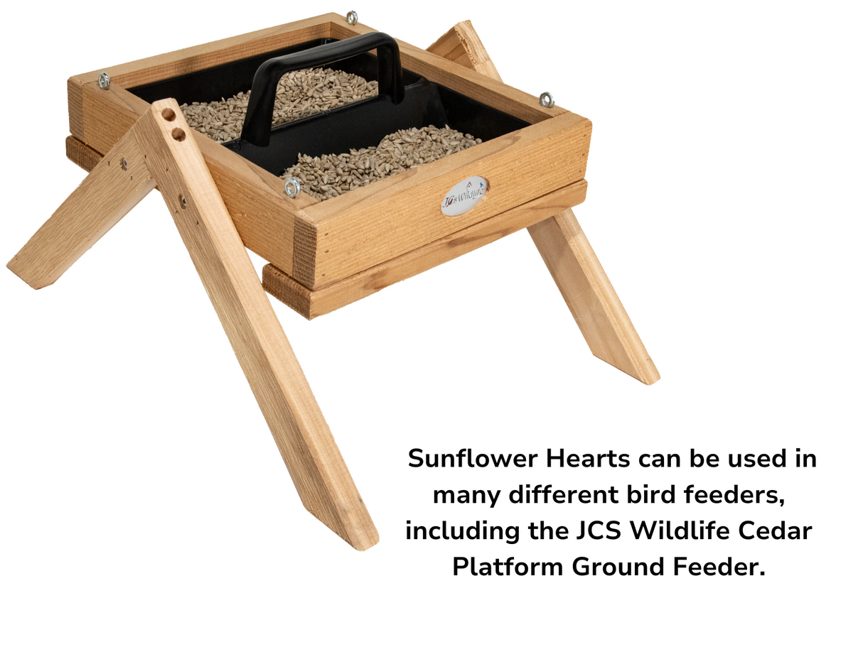 JCS Wildlife Cedar Platform Ground Feeder filled with sunflower hearts, ideal for attracting various birds.