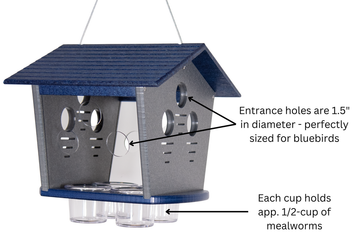 JCS Wildlife Ultimate Enclosed Bluebird Feeder with 12 entrance holes and 4 mealworm cups, designed for bluebirds.
