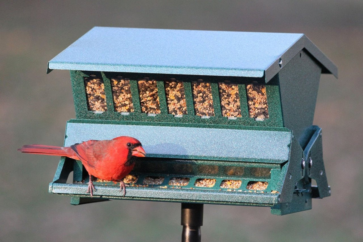 Green Absolute II Squirrel-Proof Bird Feeder with red bird perched, locking top, and metal spring-activated perches from Heritage Farms.