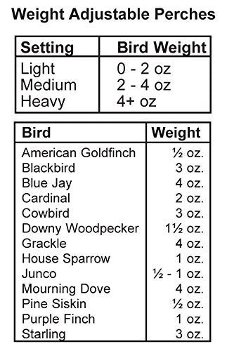 Absolute II Squirrel-Proof Bird Feeders Green Heritage Farms 7536 Pole and Hanger Included - JCS Wildlife