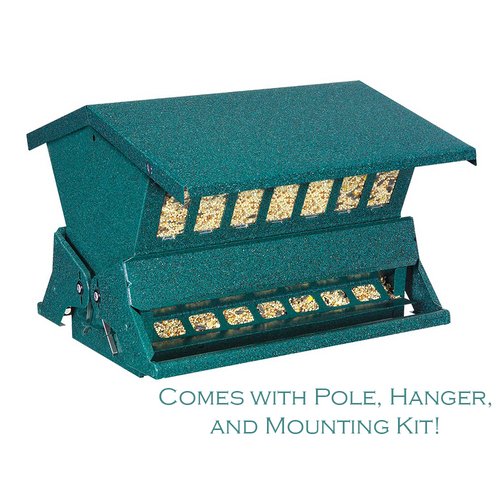 Absolute II Squirrel-Proof Bird Feeder in green with pole and hanger included, double-sided design by Green Heritage Farms 7536.