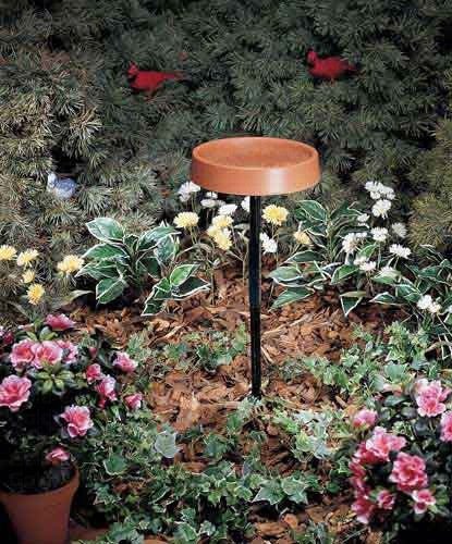 Terra cotta heated bird bath with stand in garden setting surrounded by flowers and greenery