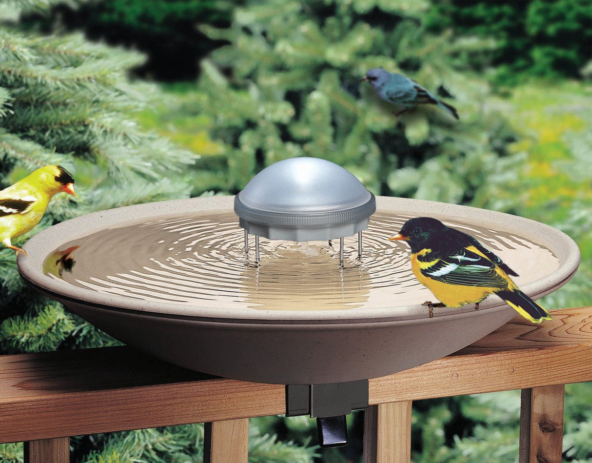 Solar Water Wiggler agitating water in bird bath with colorful birds nearby