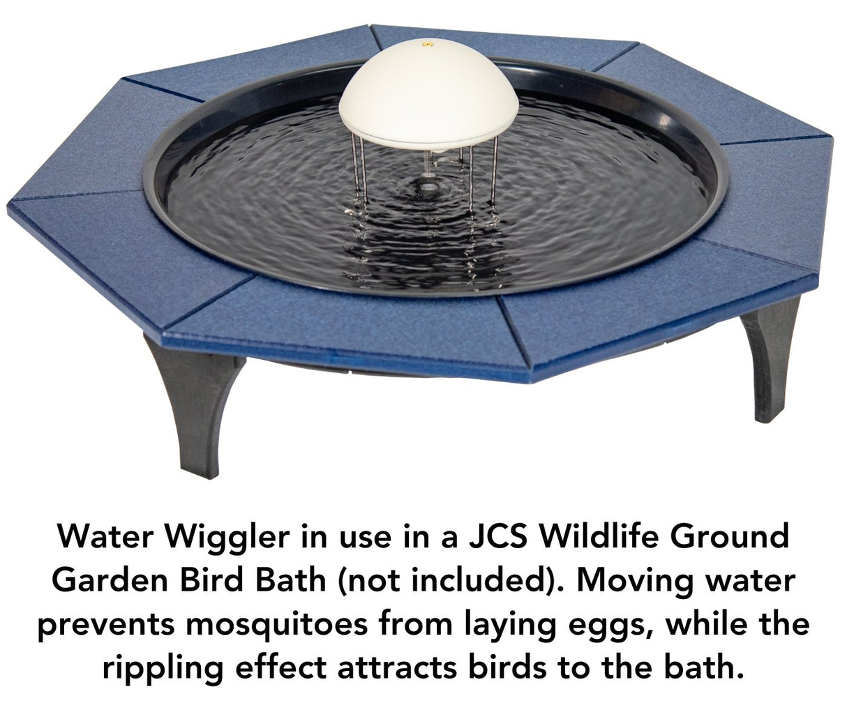Allied Precision Water Wiggler 4WW in a bird bath preventing mosquitoes and attracting birds with moving water.