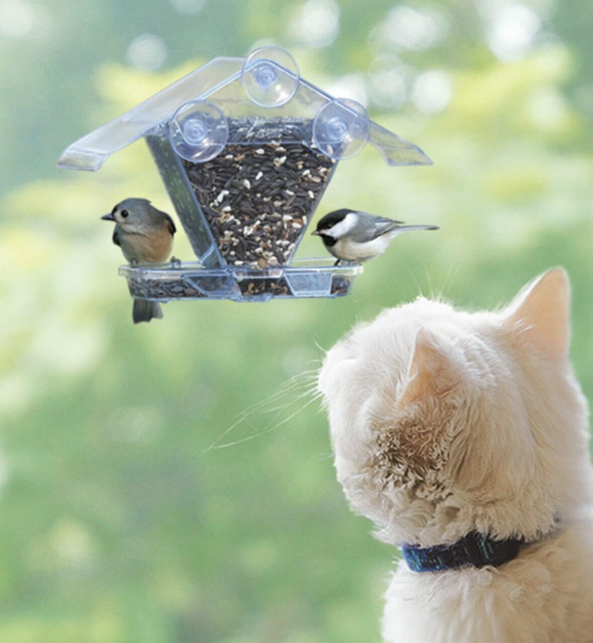 Aspects 155 Window Cafe Feeder with birds, featuring a clear roof for protection and UV stabilized polycarbonate construction.