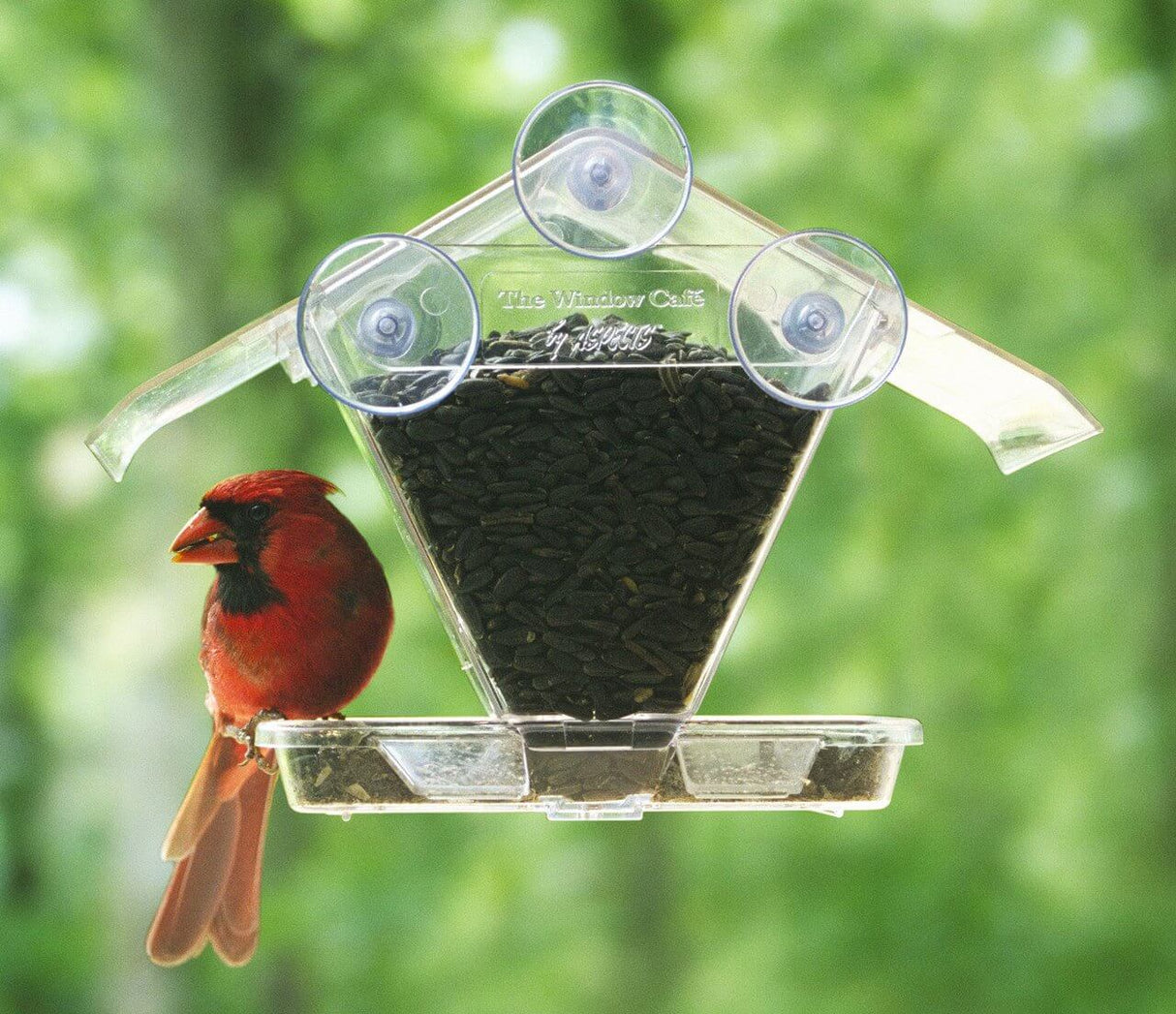 Aspects 155 Window Cafe Feeder with red cardinal perched, showcasing its hopper style and protective roof design.