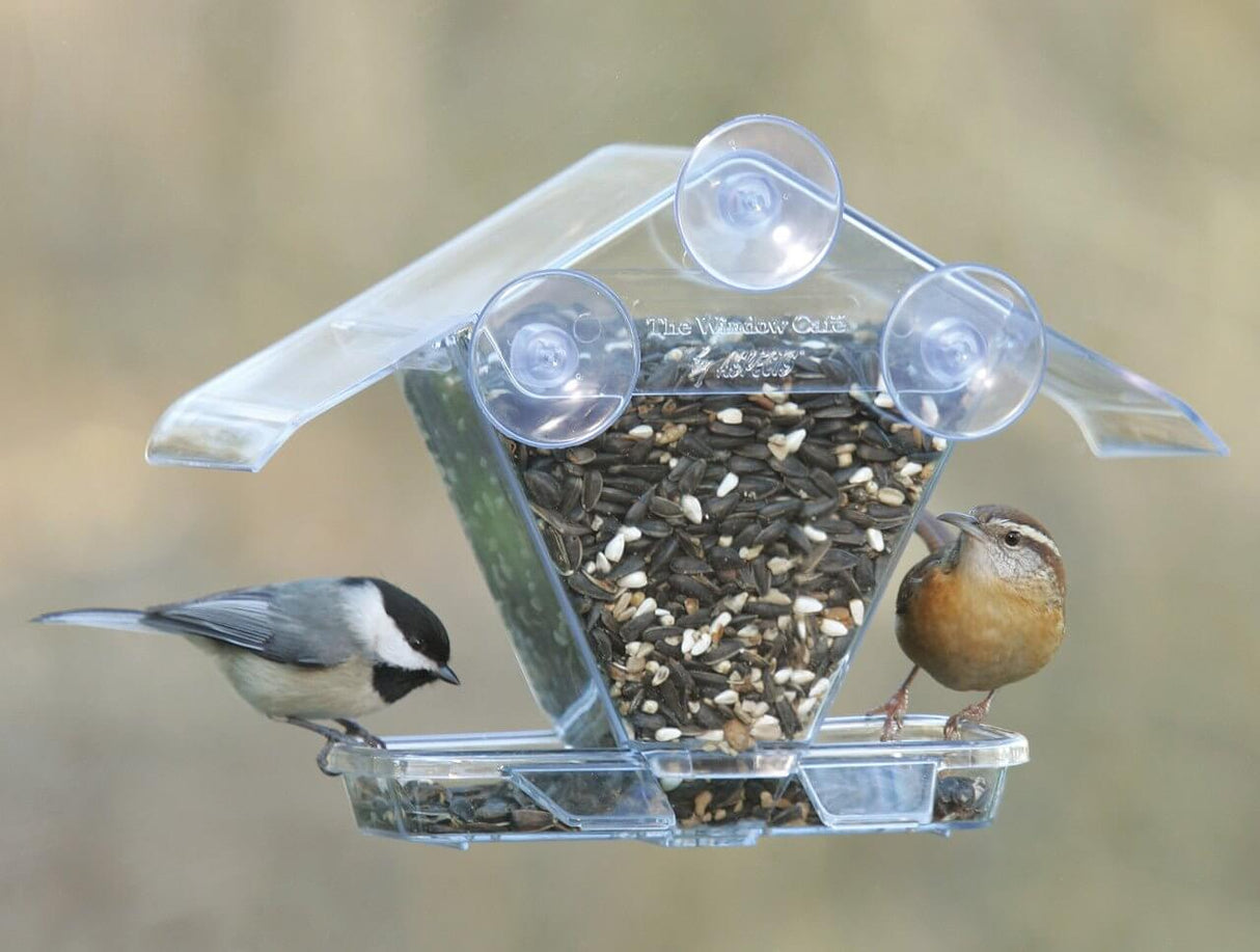 Two birds feeding at the Aspects 155 Window Cafe Feeder, Hopper Style with clear roof protecting seeds.