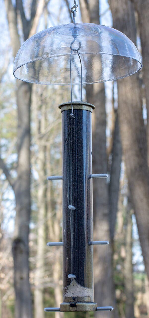 Aspects 264 Weather Dome 12" Diameter protecting a bird feeder from rain and snow in a wooded setting.