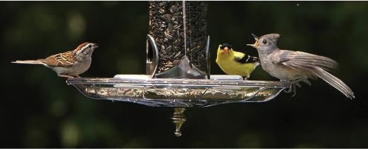 Birds feeding on the Aspects 380 Swirl Seed Tray, showcasing its design and functionality.