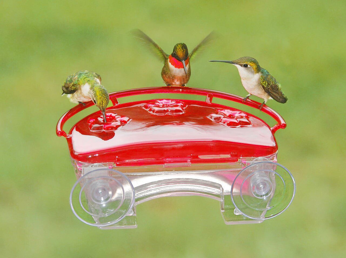 Aspects 407 Jewel Box Window Hummingbird Feeder with three hummingbirds enjoying feeding.