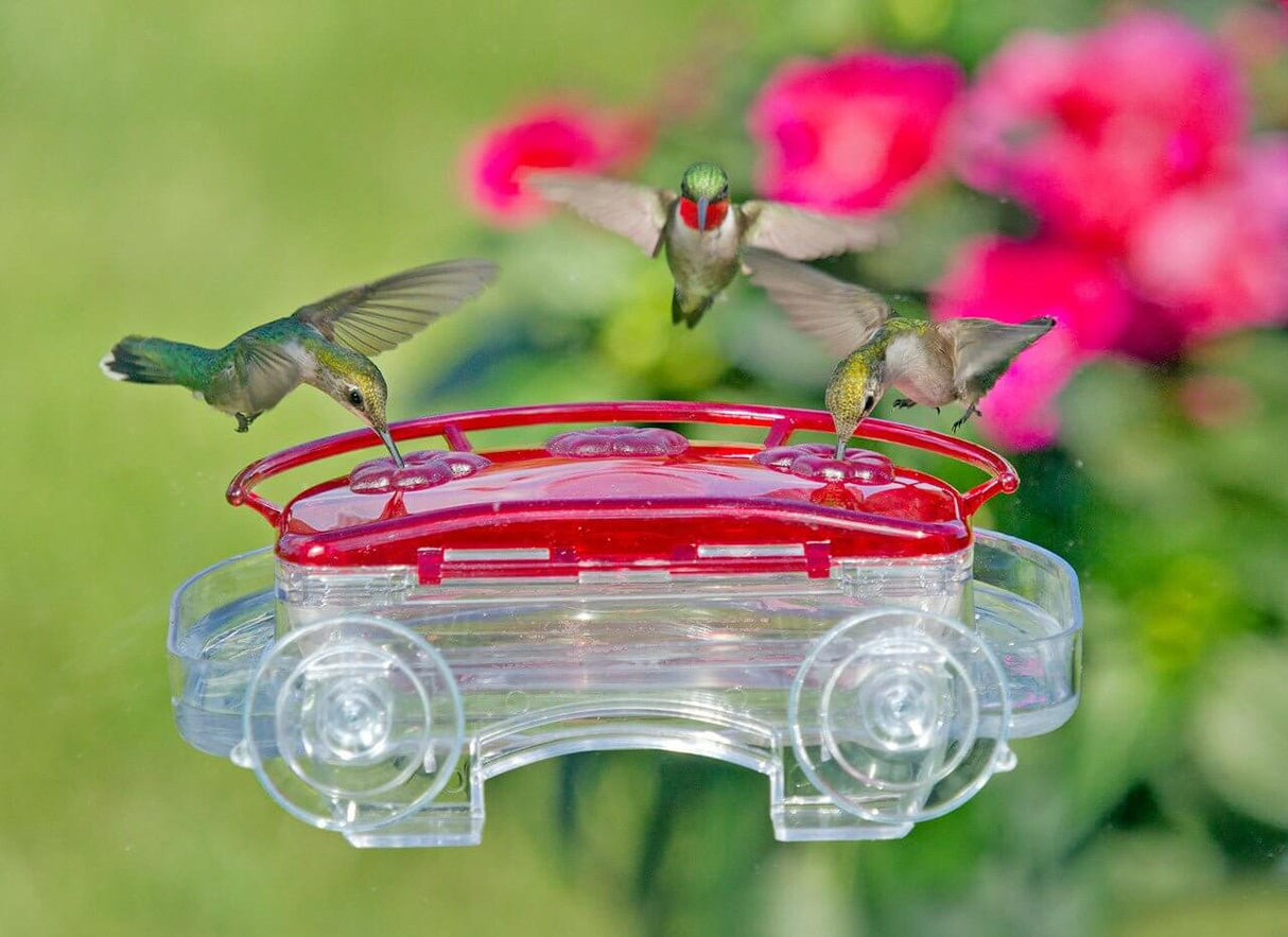 Three hummingbirds feeding from the Aspects 407 Jewel Box Window Hummingbird Feeder with a bright red cover.