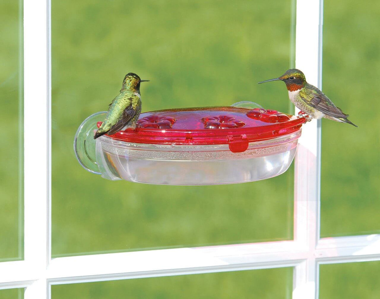Aspects 407 Jewel Box Window Hummingbird Feeder with two hummingbirds, showcasing bright red cover and 8-ounce capacity.