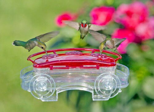 Three hummingbirds feeding from the Aspects 407 Jewel Box Window Hummingbird Feeder with bright red cover.