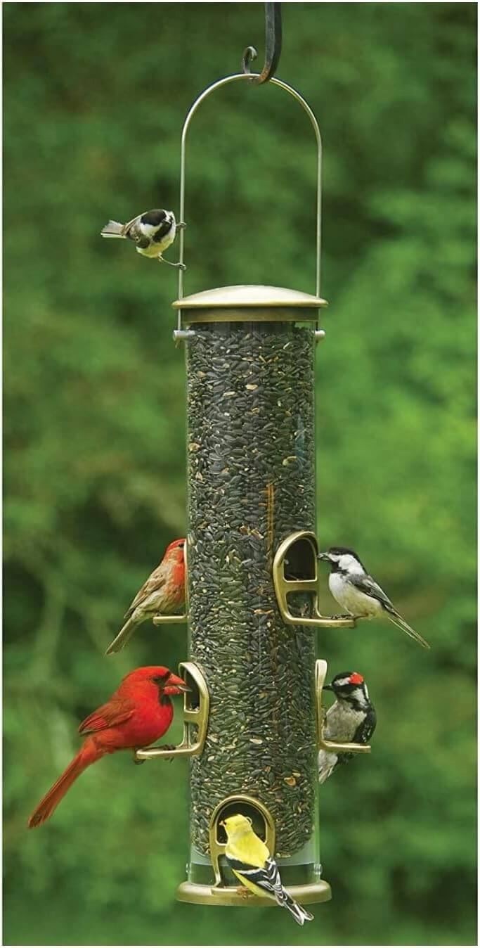 Aspects 420 Antique Brass Quick Clean Big Tube Feeder with birds feeding at multiple ports.