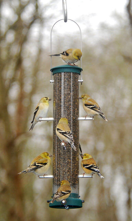 Aspects 427 Quick Clean Nyjer Tube Feeder in spruce with finches feeding, durable and easy to clean.