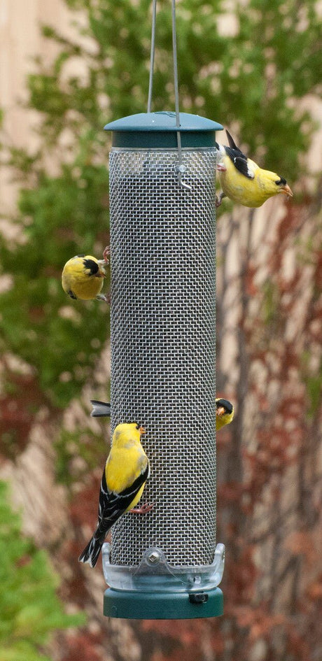 Aspects 439 Nyjer Mesh Birdfeeder with finches feeding, featuring Quick-Clean base and stainless steel mesh design.