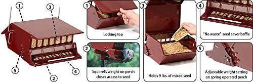 Red squirrel-proof bird feeder with locking top, seed saver baffle, holds 9 lbs of seed, and adjustable weight settings.