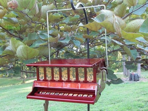 Squirrel-proof red bird feeder hanging on tree branch with weight-sensitive perch in backyard.