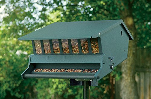 Audubon Bird's Choice squirrel-resistant feeder in green, featuring adjustable spring-operated perch, mounted on a pole, filled with bird seed.