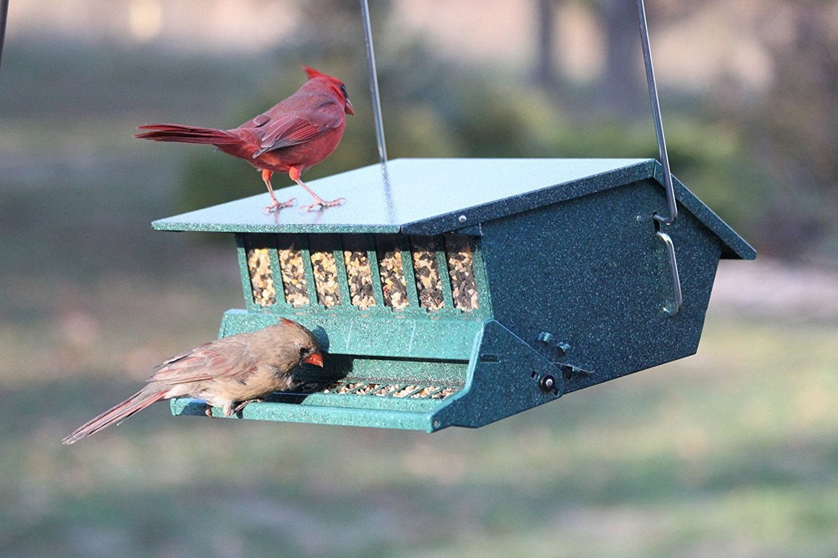 Audubon Bird's Choice Squirrel-Resistant Feeder with two birds feeding, green steel construction, adjustable weight setting.