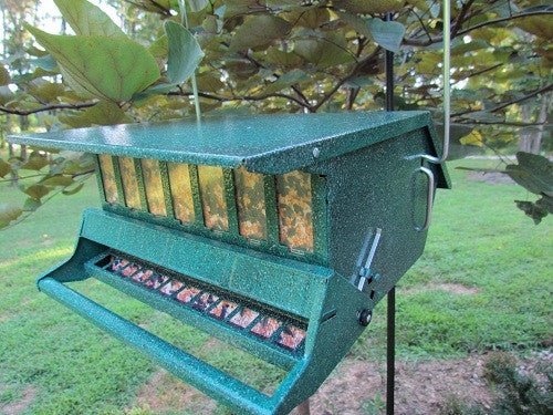 Audubon Bird's Choice green squirrel-resistant feeder hanging on a tree, filled with seeds, designed for songbirds and clinging birds.