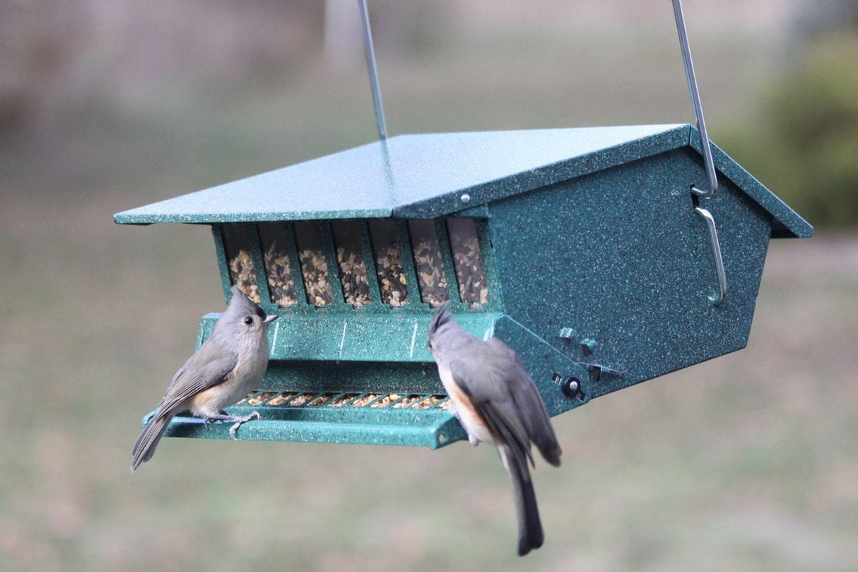 Green Audubon squirrel-resistant bird feeder with two birds feeding on black oil sunflower seeds.