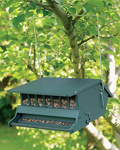 Audubon Original Bird's Choice Squirrel-Resistant Feeder Green hanging on tree branch in garden