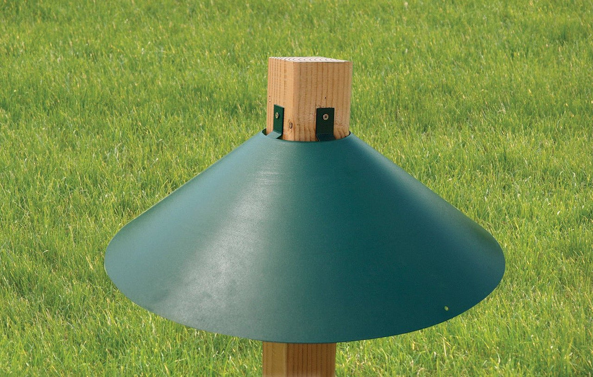 Audubon Woodlink 22-inch green metal squirrel baffle on post, squirrel proof bird feeder accessory in grassy outdoor setting.