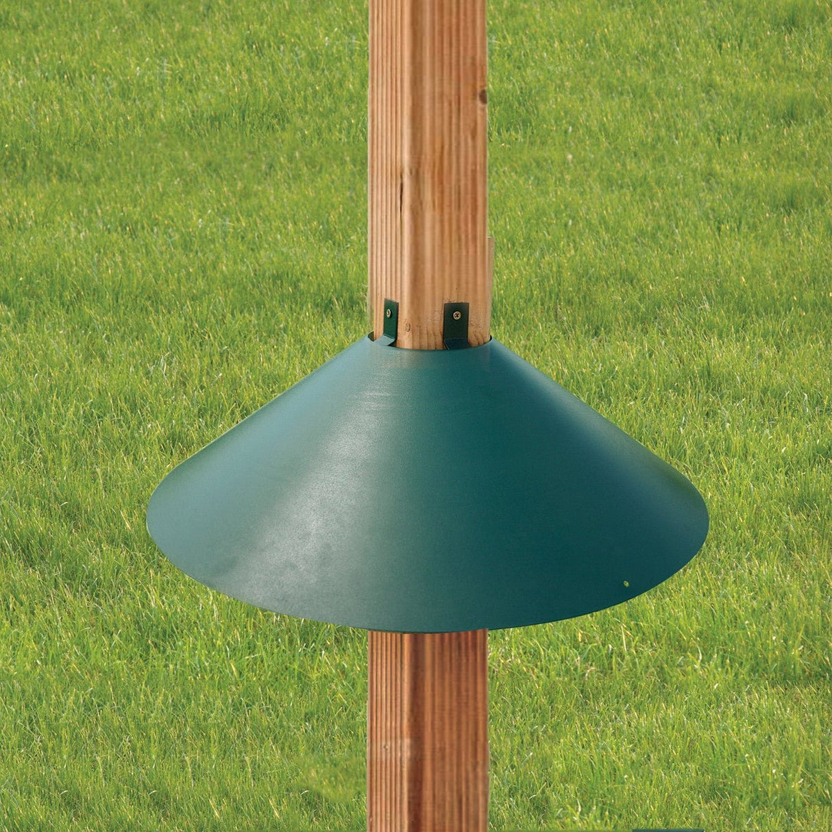 Green Audubon Woodlink 22-inch metal squirrel baffler mounted on a wooden post in a grassy yard.